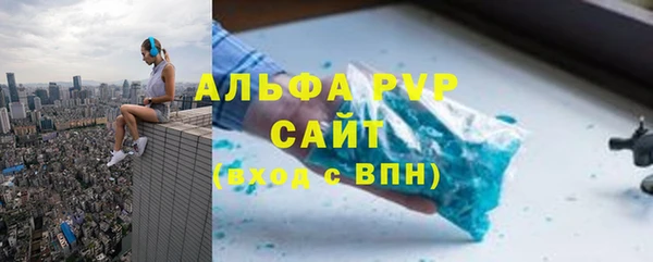индика Осинники