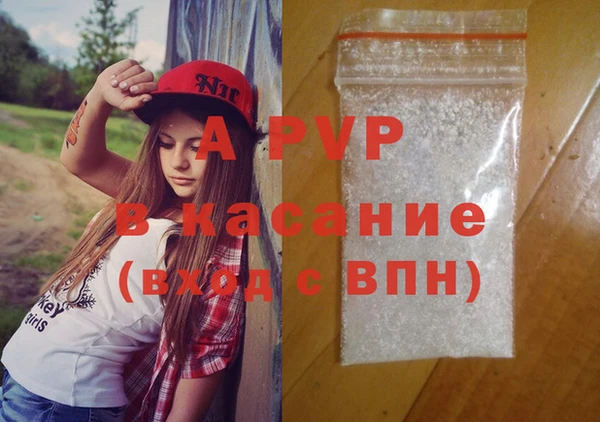 индика Осинники