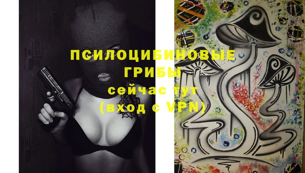 круглые Аркадак
