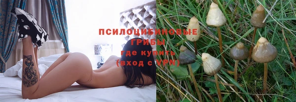 круглые Аркадак