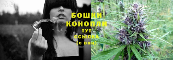 индика Осинники
